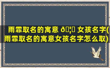 雨霏取名的寓意 🦁 女孩名字(雨霏取名的寓意女孩名字怎么取)